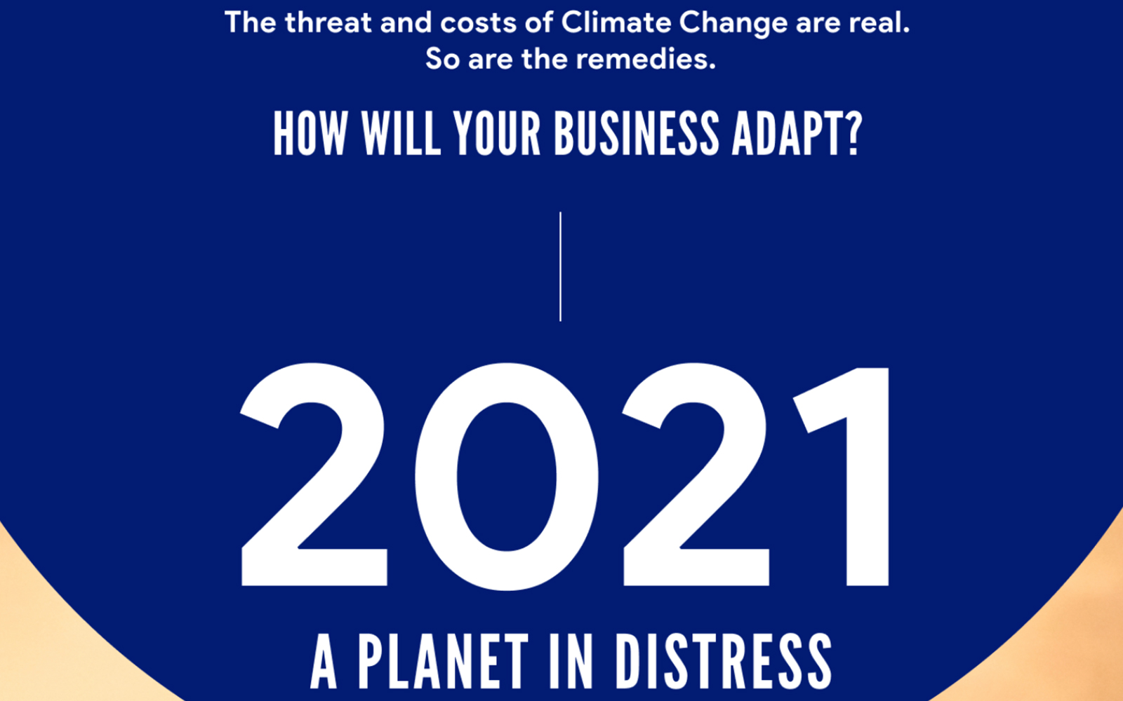The Financial Costs of Climate Change